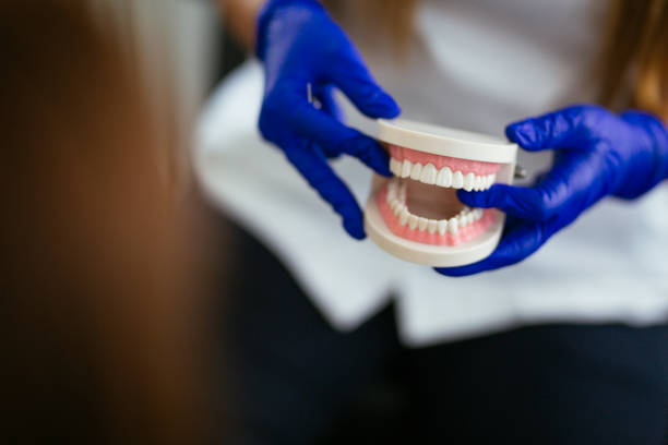 Best Dental X-Rays and Imaging  in South Pasadena, FL